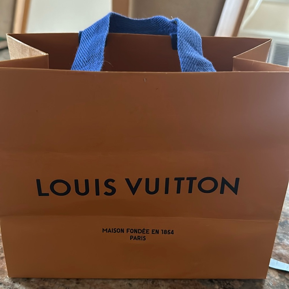 Louis Vuitton Empty Store Bag